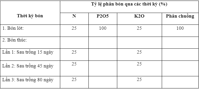 phan tỏi tây1_1711334756.PNG